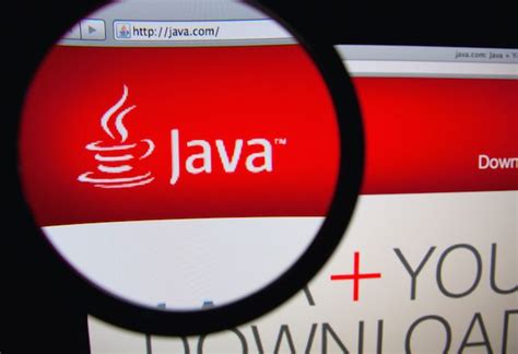 Image result for Google Search Who Is Java
