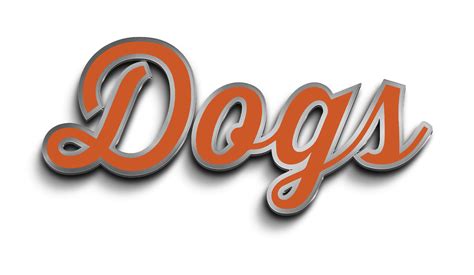 LeagueApps Member Portal