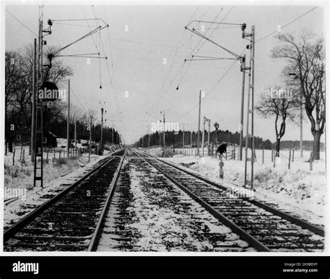 Block Post 的图像结果