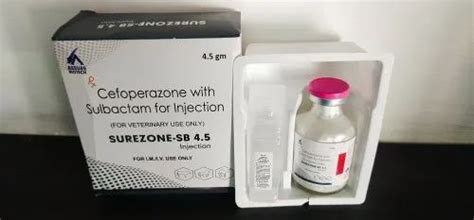 Veterinary Injection - Meloxicam Injection 5 Mgml Manufacturer from ...