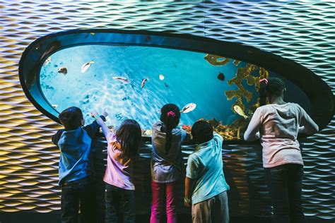 Rainforest Wonders At Discovery Place Science | TouristSecrets