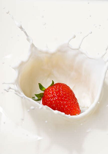 Milk Processing Steps 的图像结果