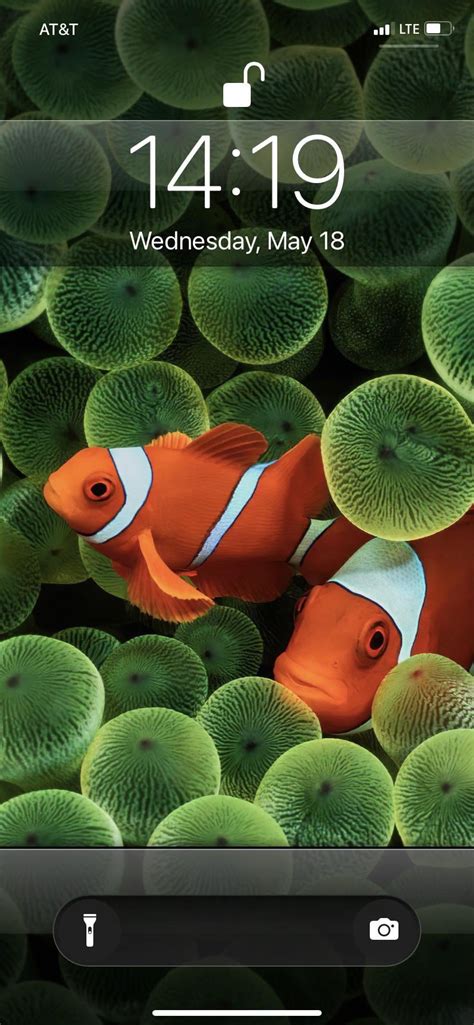 Image result for iOS 1.1