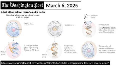 Image result for Partial Reprogramming