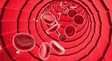 La hipoxemia y sus tipos - Noticias europeas