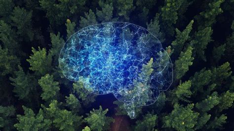 Real Intelligence 的图像结果