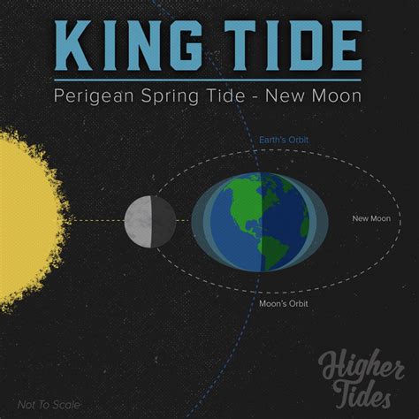 How King Tides Work: Scientists Explain The Science Behind Extreme High Tides