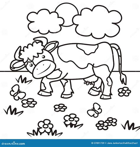 Coloring Pages Of Cows Free Printable