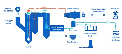 Bioenergy Process 的图像结果