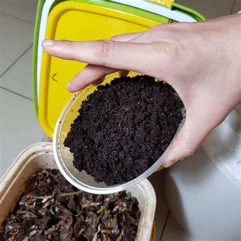 Vermicompost / Worm Casting / Fertilizer, Furniture & Home Living ...