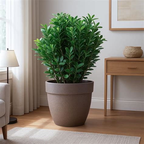 UGAOO Barca Round Big Pot for Indoor Plants, 14 Inch | Fibre Plant Pots ...