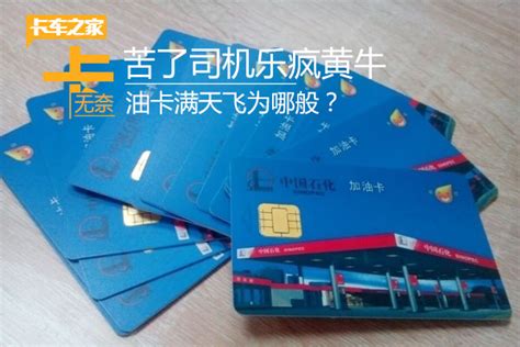 烟台推出“APEC商务旅行卡” 一张卡等于16国签证_山东频道_凤凰网