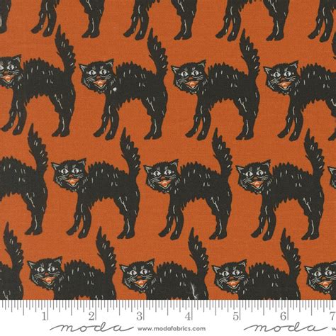 Image result for Gray Cat Rust