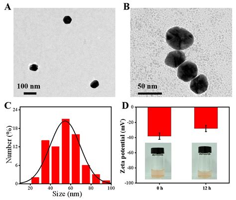 Green Synthesis of Biocompatible Chiral Gold Nanoparticles