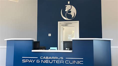 Best Veterinary Surgery Clinic In Town | Cabarrus Spay & Neuter