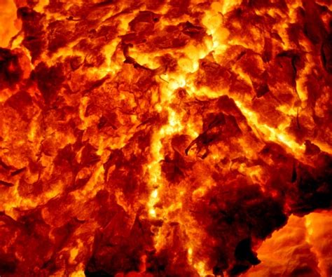 Volcanoes Helped Dinosaurs Thrive | Newsmax.com