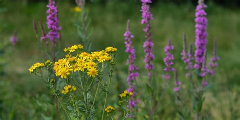 Syslog-Ng Configuration 的图像结果