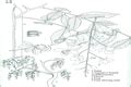Herbarium JCB