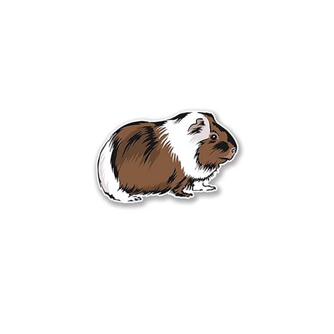 Buy Guinea Pig Vinyl SELF Adhesive Sticker Decal - Sticker Graphic ...