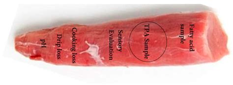 Synbiotic-Glyconutrient Additive Reveals a Conducive Effect on Growth ...