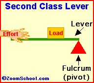 10 Lever Simple Machines Examples in Everyday Life – StudiousGuy