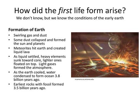 How Did Life First Form 的图像结果