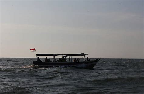 Mar Jaava Picture Mar Java 的图像结果