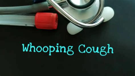 Times Network India Health Summit 2025: Leading Doctors Advocate ...