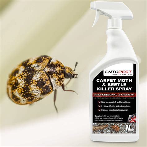 Carpet Beetle Killer Tesco at Michael Stover blog