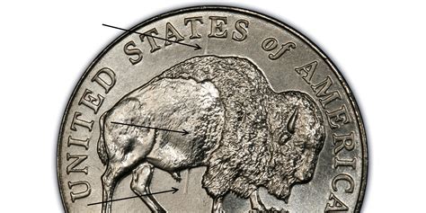 2005-D 5C Speared Bison (Regular Strike) Jefferson Nickel - PCGS CoinFacts
