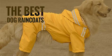 Top 5 Best Waterproof Dog Raincoats With Hood — 2020 EDITION