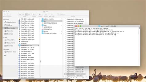 Image result for OpenSimulator Setup