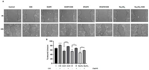 Therapeutic Effect of Lebanese Cannabis Oil Extract in the Management ...