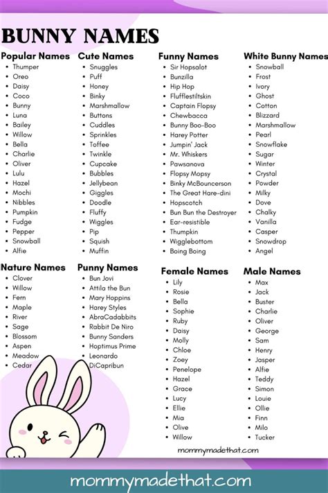 Top 10 Rabbit Names at Juliette Bailey blog