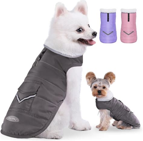 Dog Snow Jacket
