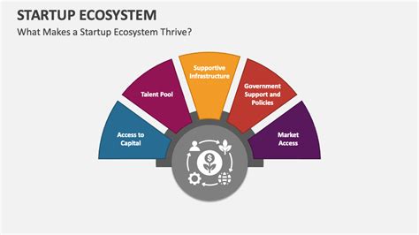 Image result for Startup Ecosystem
