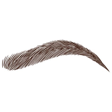 Eyebrow Texture Png