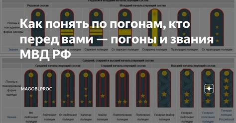 Как понять по погонам, кто перед вами — погоны и звания МВД РФ ...