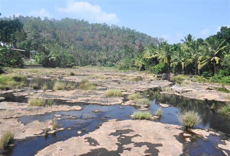 Vandiperiyar - JungleKey.in Image #50