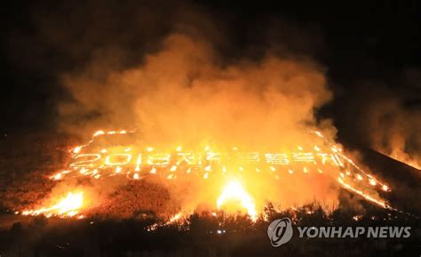 제주들불축제 디지털 불놓기