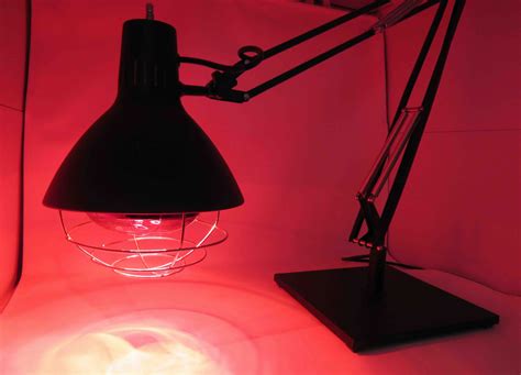 What Is A Heat Lamp | Storables