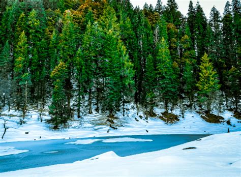 Phulara Ridge Trek | SkyHike