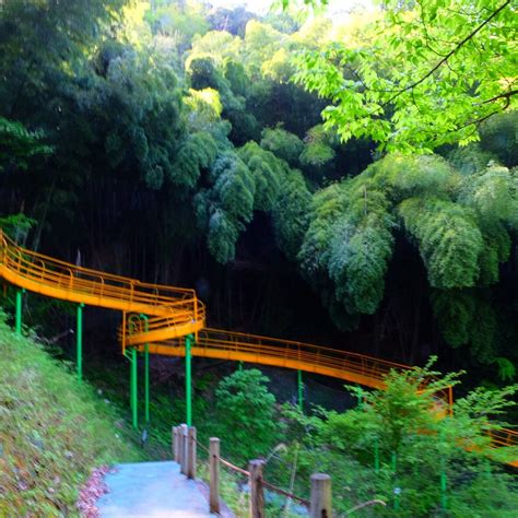 The 10 Best Hotel Deals in Oi-cho (Feb 2026) - Tripadvisor