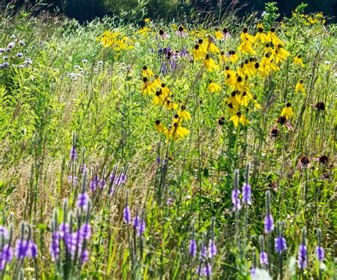 3 key gardening industry trends to embrace for 2024 | Homes and Gardens