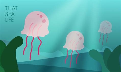 Image result for After Effects Puppet Pin Tool Tutorial