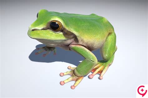 Image result for 2D Unity Tutorial Frog