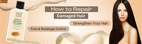 Revive Your Strands: Tips for Repairing Damaged Hair and Promoting ...