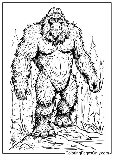 Bigfoot Coloring Pages Sasquatch Finding Printable Colouring Drawing ...