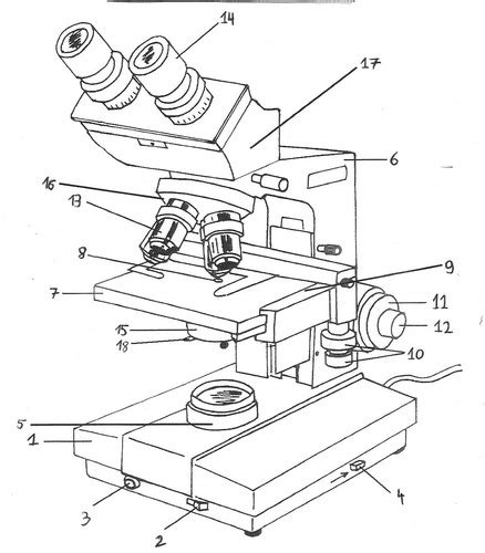 Image result for Microscope Schema Optique