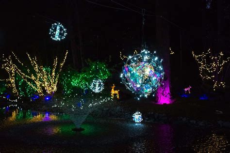 Holiday Lights in Williams Park, Williams Park, Langley, 27 December ...
